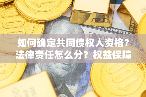 北京如何确定共同债权人资格？法律责任怎么分？权益保障技巧揭秘！