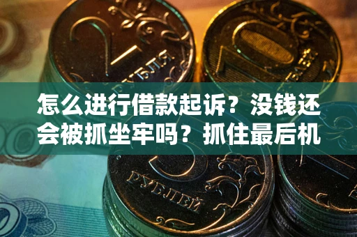北京怎么进行借款起诉？没钱还会被抓坐牢吗？抓住最后机会！