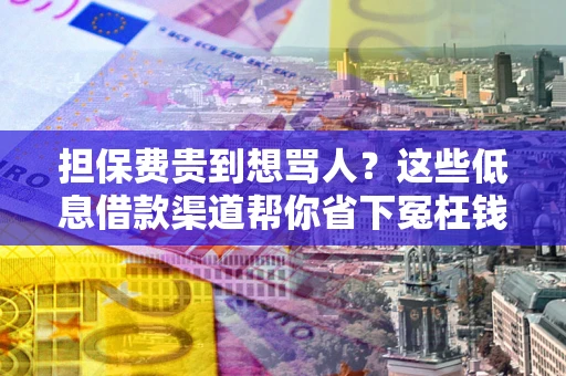 北京担保费贵到想骂人？这些低息借款渠道帮你省下冤枉钱