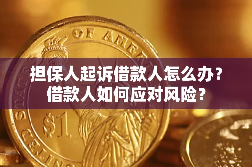 北京担保人起诉借款人怎么办？借款人如何应对风险？