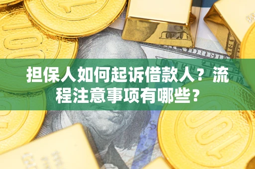 北京担保人如何起诉借款人？流程注意事项有哪些？